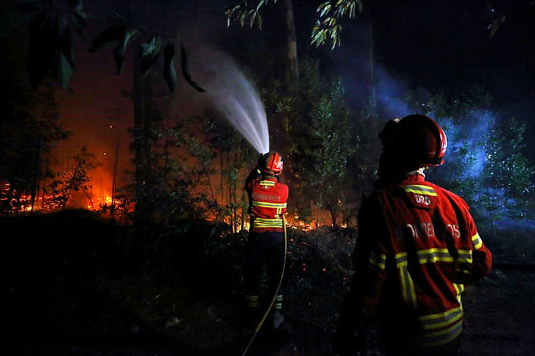 Portugal tests fire response in European exercise with 700 operatives ...