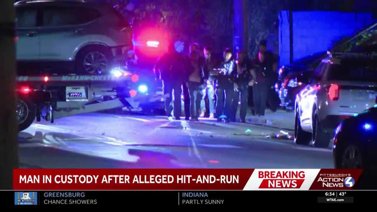 Allegheny County robbery suspect also accused of hitting 2 teens with ...