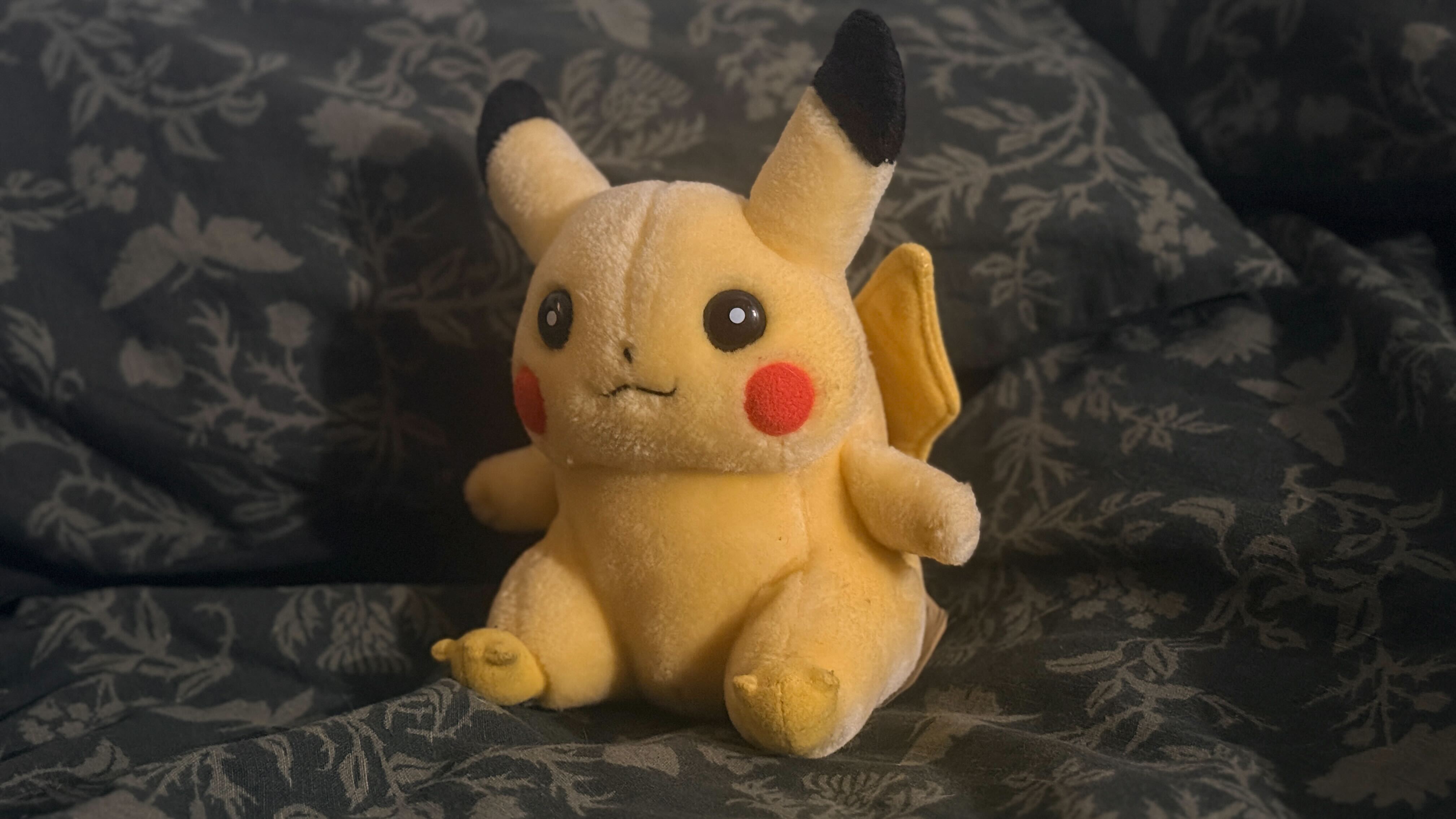Casey DeFreitas' Pokemon Merch