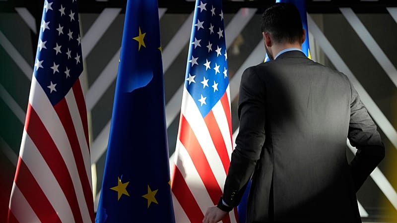 EU legislation cannot be dictated by social media threats, says MEP ...