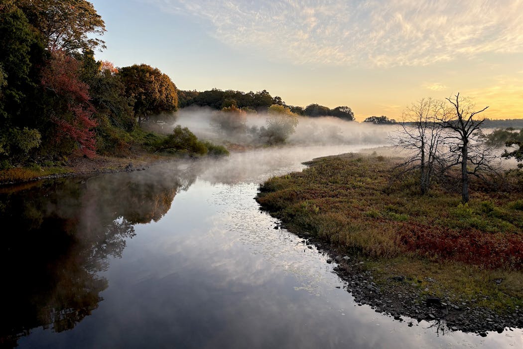 Thoreau the scientist – how environmental research informed 'Walden ...