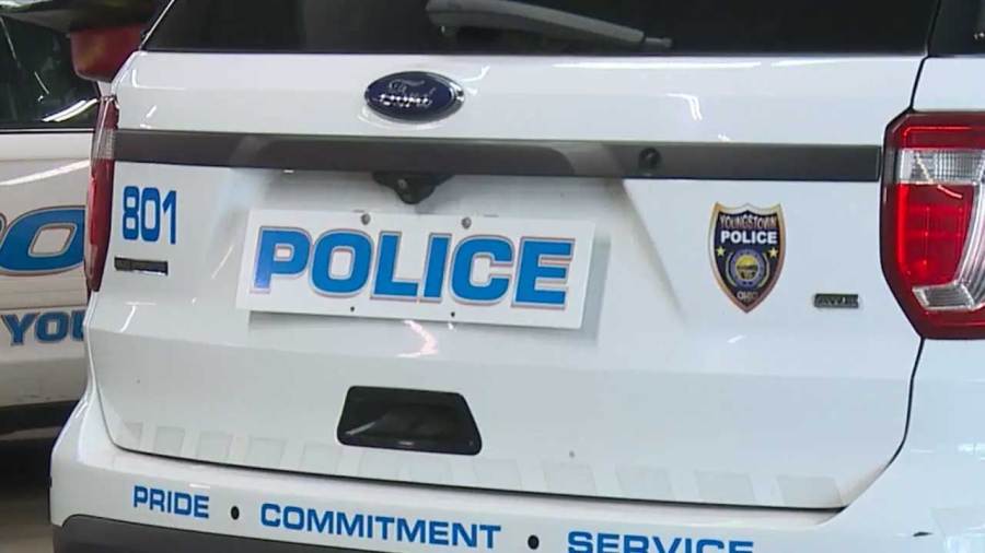 Man said he was stabbed while taking dogs out in Youngstown