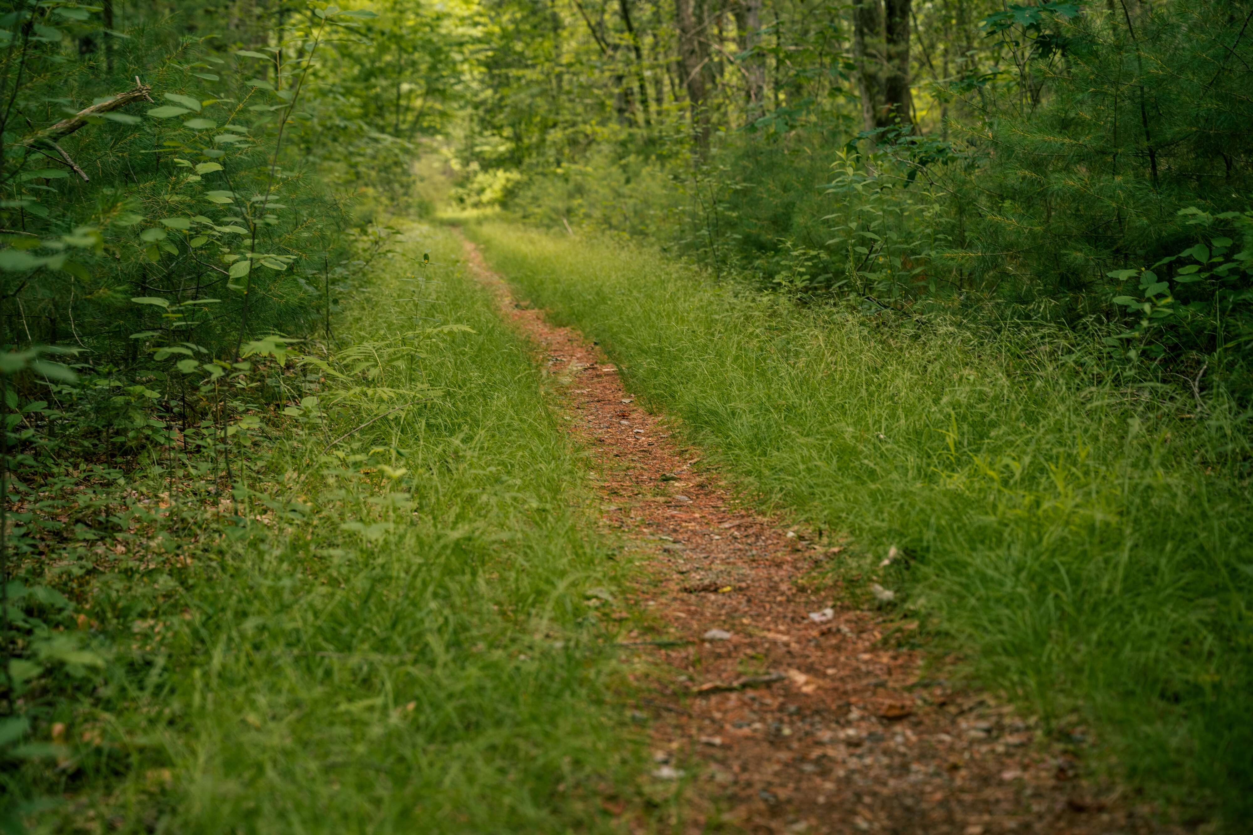 Mass. weather: Rainy days ahead of pleasant Mother’s Day