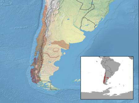 Distribución geográfica conocida del colilargo ('Oligoryzomys longicaudatus') . IUCN Red List of Threatened Species