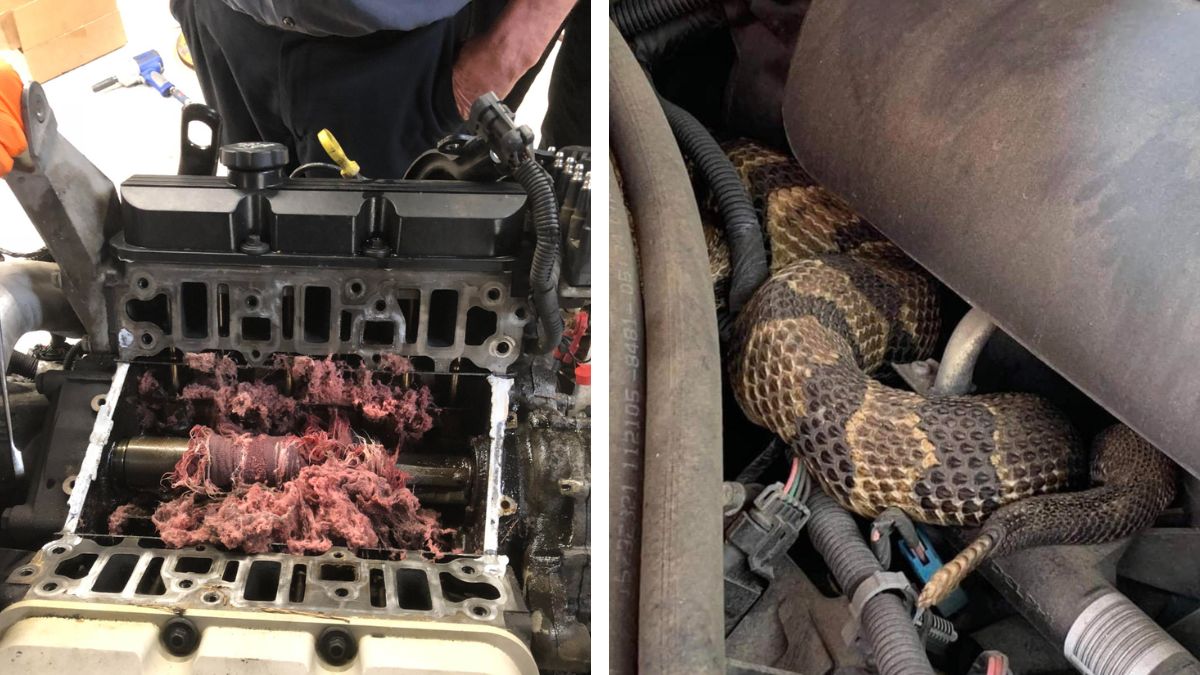 20 Fails That Sum Of The Life Of Mechanics