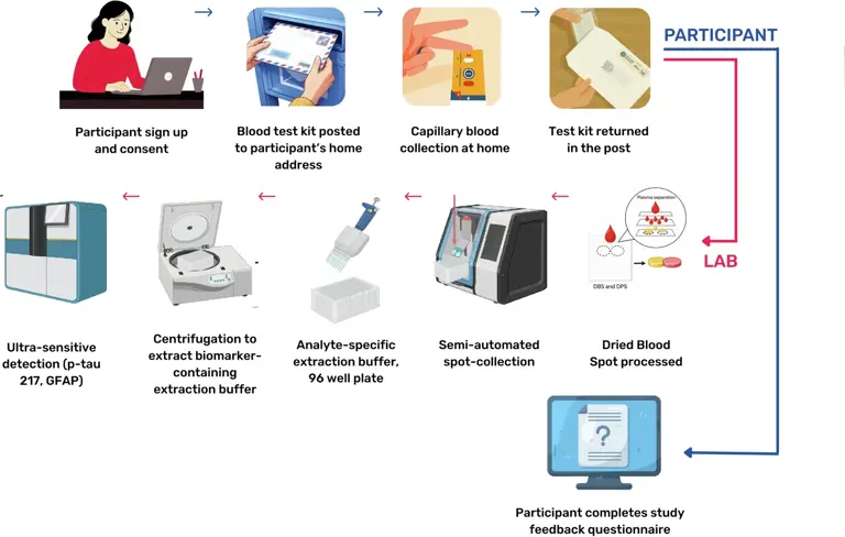 At-home blood and brain tests revolutionize early dementia screening