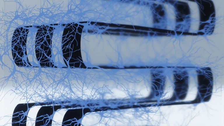 US scientists merge 70,000 live neurons with electronics in hybrid ...