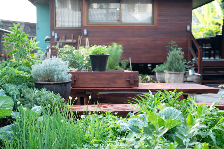 Experts reveal the 7 garden trends everyone will be copying in 2026