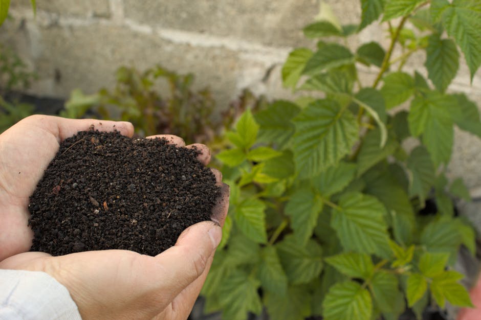 10 natural tips for a thriving organic garden