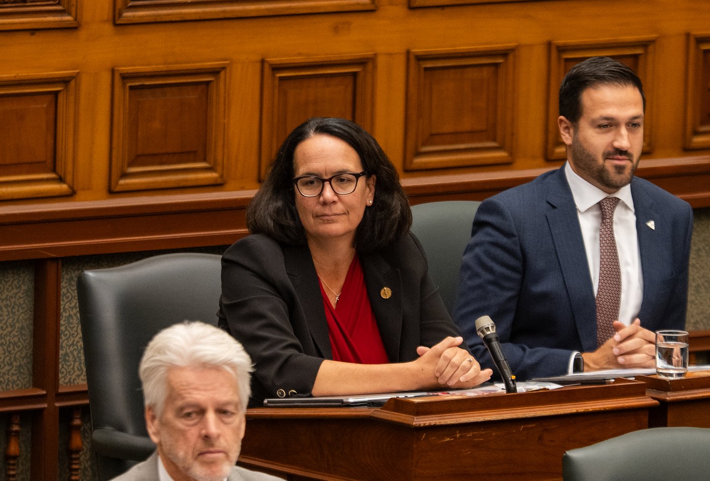 Ontario Liberal MPP Lee Fairclough enters party's nascent leadership race