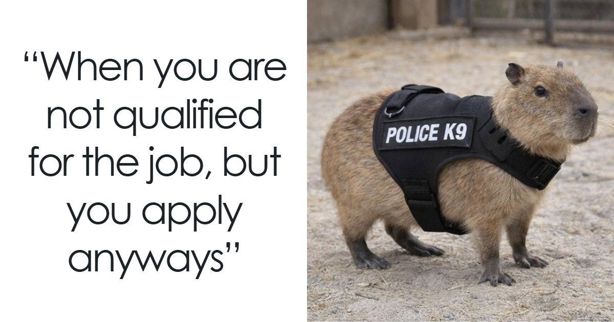 37 memes that show how cute and relatable capybaras are