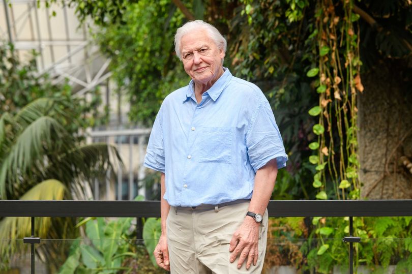 david-attenborough-s-very-famous-relative-exposed-through-hidden-family