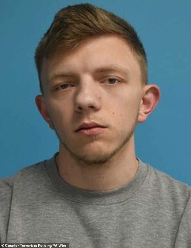 Roman Lavrynovych (pictured) allegedly plotted to set fire to the car and two houses in north London last May on the promise of cryptocurrency from a Telegram contact with the pseudonym 'El Money'