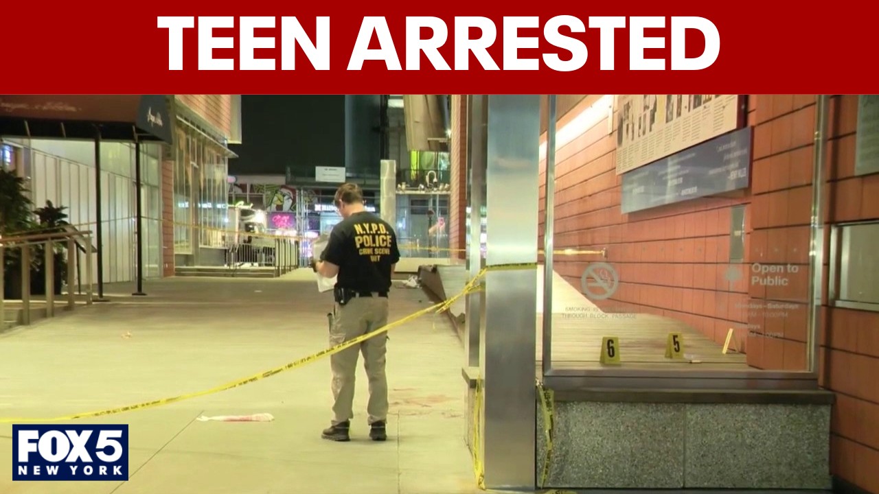 NYC fatal stabbing started as part of social media trend: sources