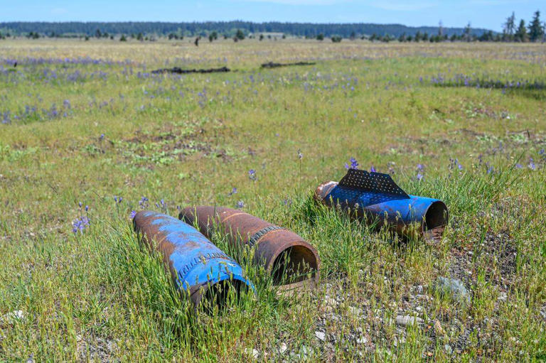 Guarded by JBLM and Chief Leschi's spirit, these South Sound prairies ...