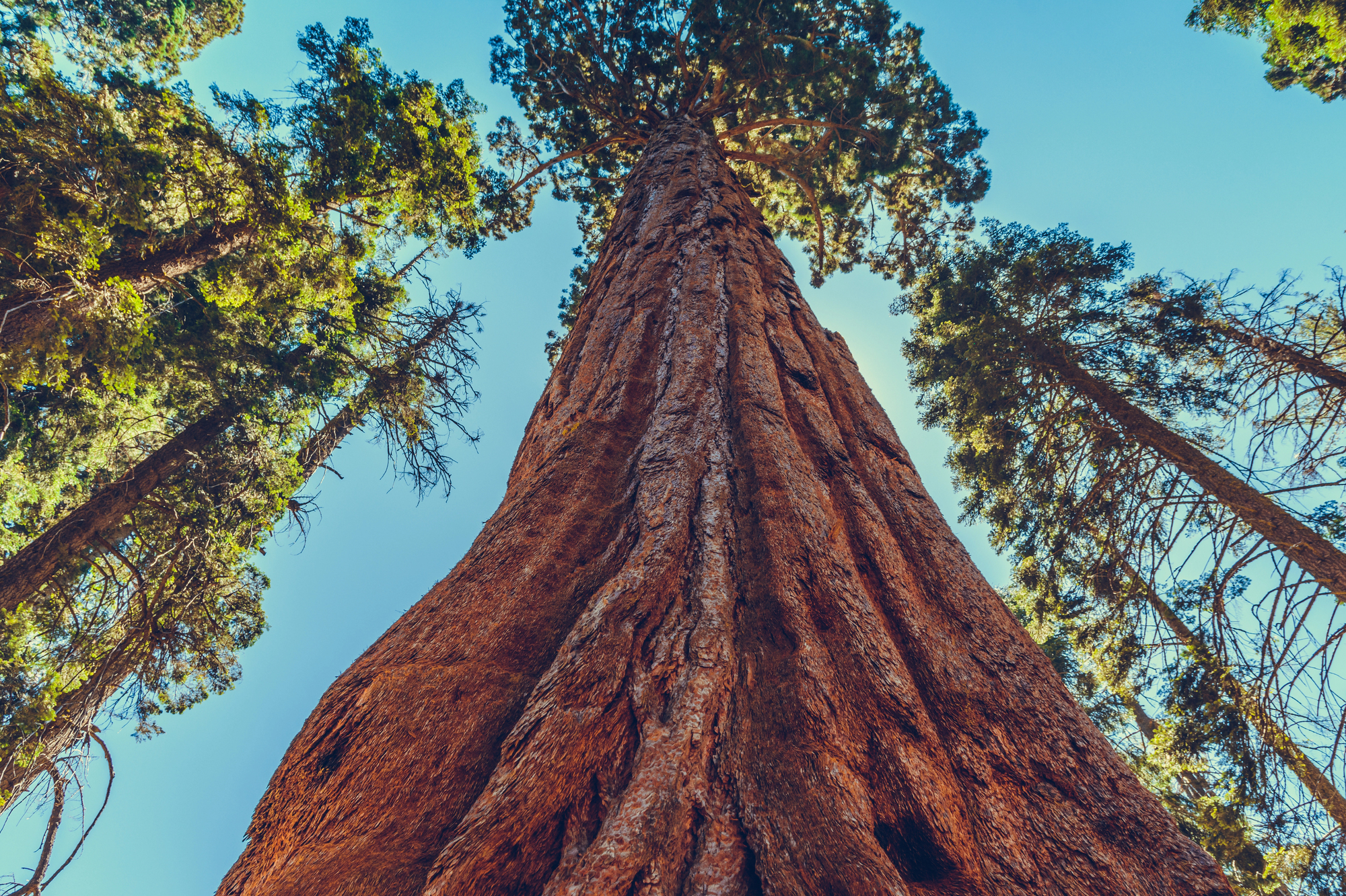 19 natural landmarks that are way bigger than you think