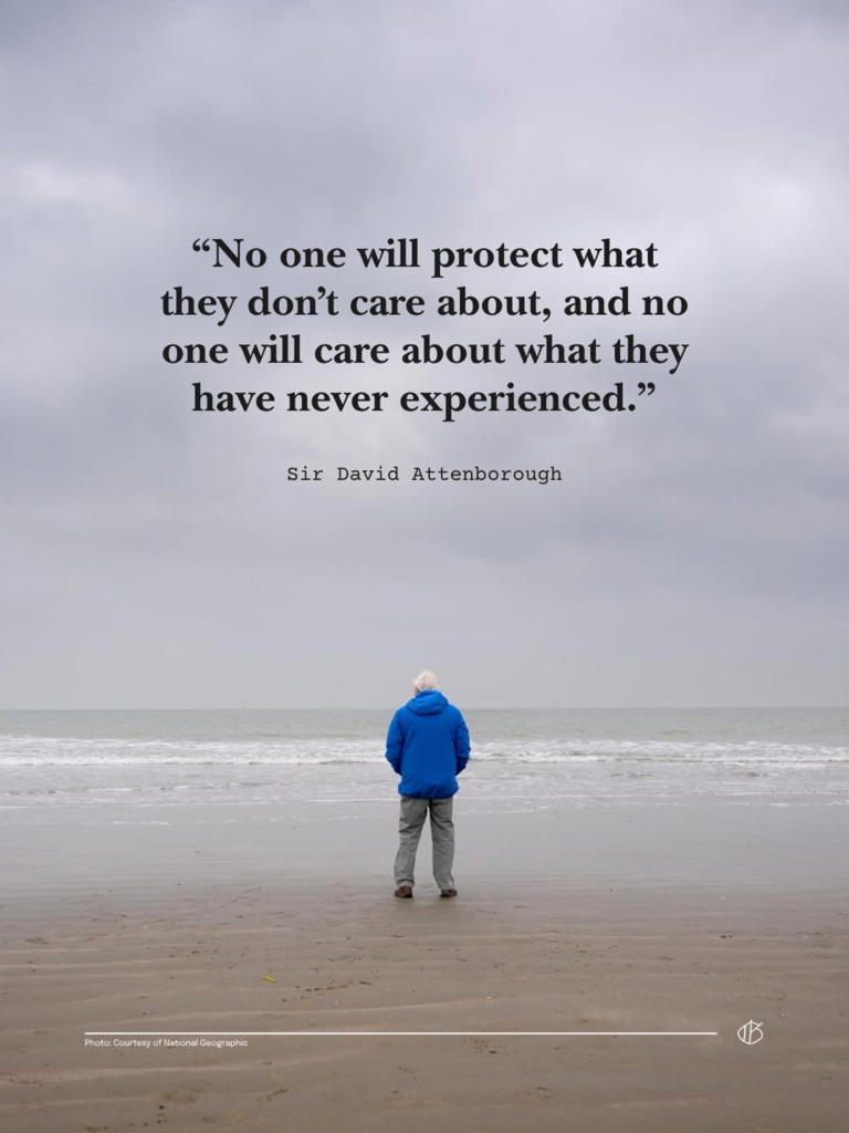 Today is David Attenborough's 100th birthday — read his most iconic quotes