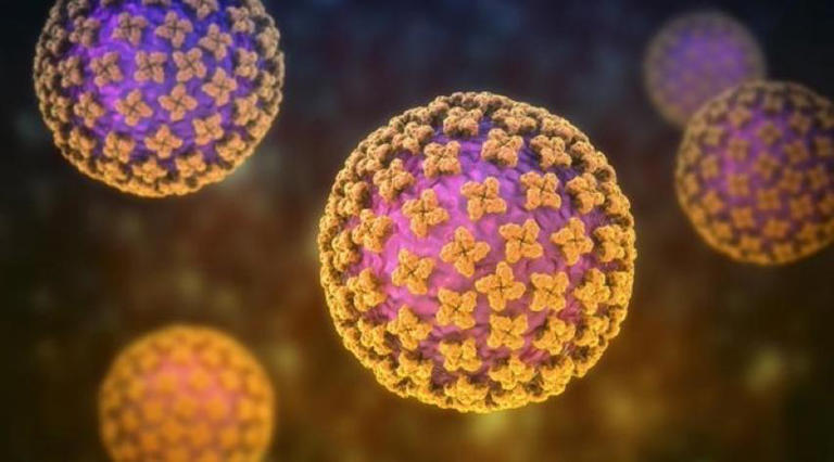 Is Hantavirus The Next Pandemic? Here's What Know About The Deadly ...