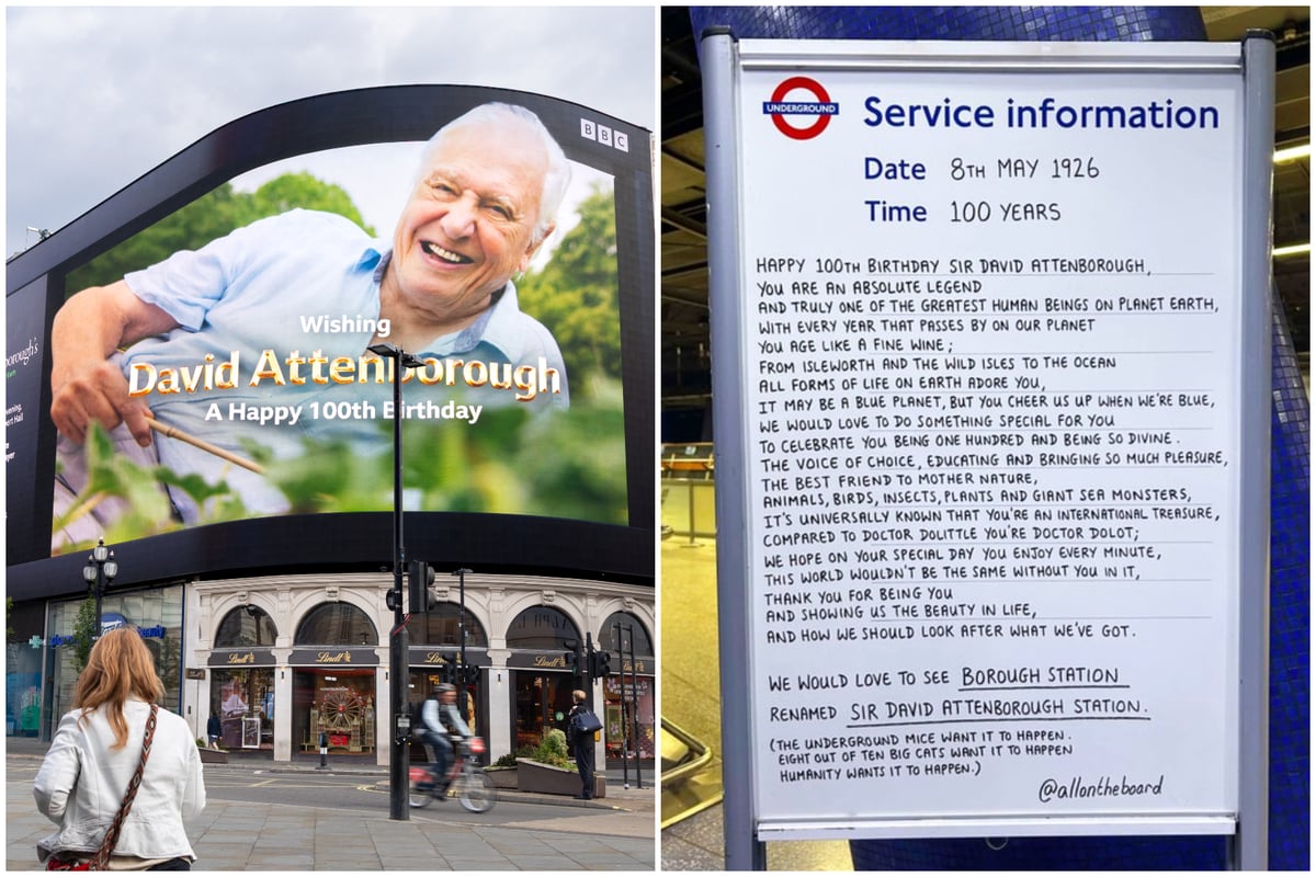 London pays tribute to David Attenborough on his 100th anniversary