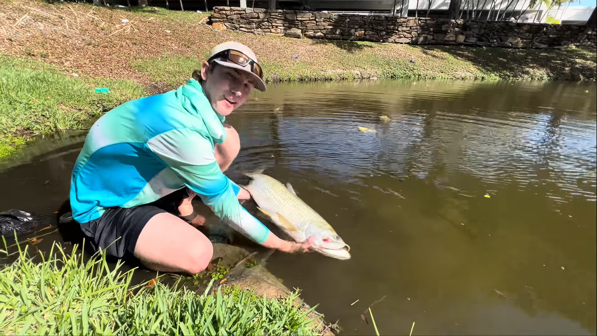 Watch what happens when a predator shows signs of something strange