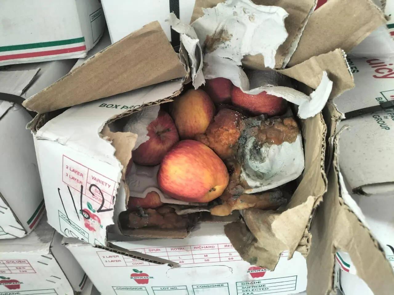 8,500kg rotten fruits, 1,500kg expired dates destroyed in Muhana Mandi raid