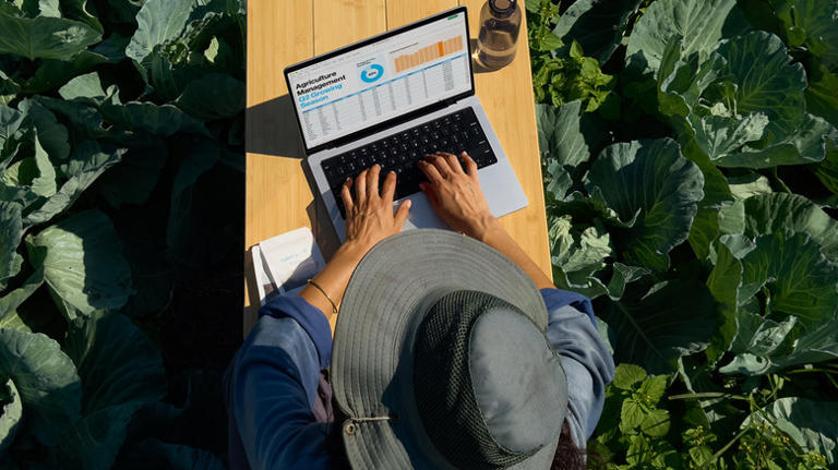 5 things your MacBook's Touch ID button can do (besides unlock it)