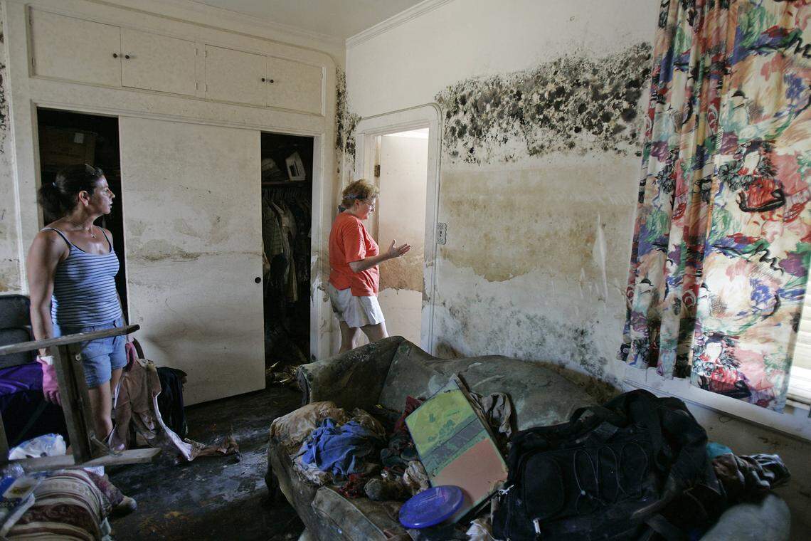 Mold Could Be Spreading Through Your Home Right Now Without Knowing It ...