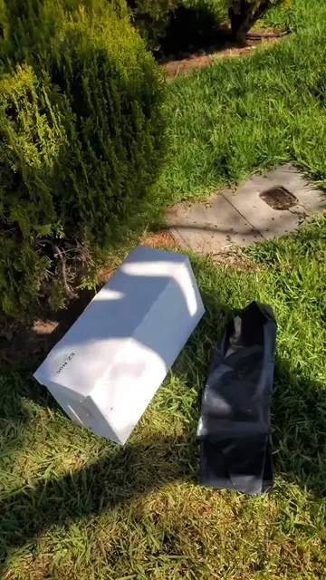 Removing a massive bee hive from a gas meter box