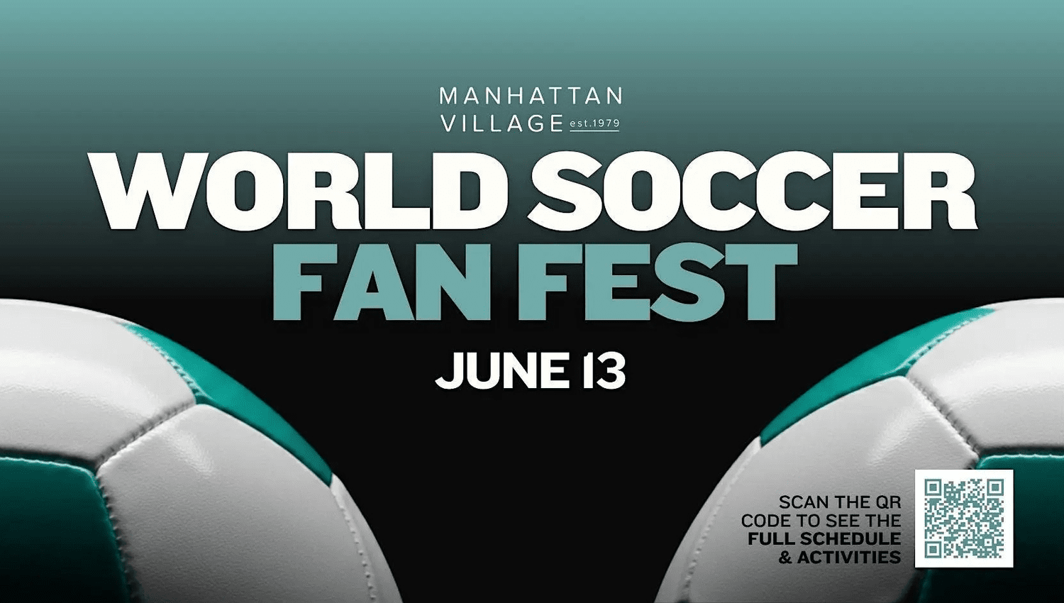 World soccer fan fast, LA