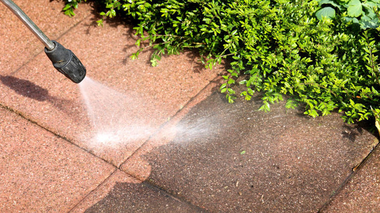 The quick and easy way to get rid of moss growing in cracks