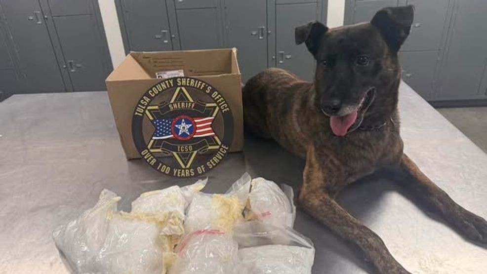Sheriff: Tulsa traffic stop leads to major methamphetamine seizure