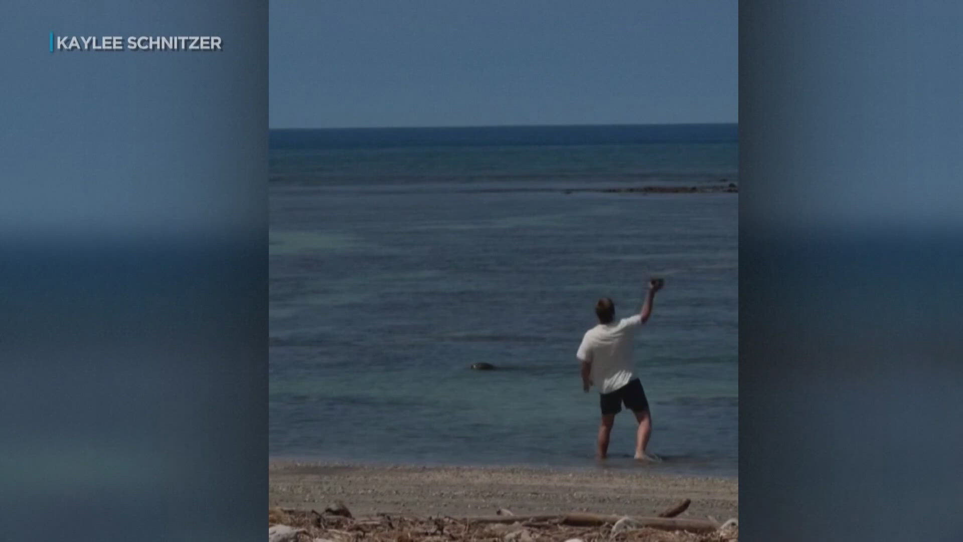 Seattle man investigated after viral video appears to show object ...