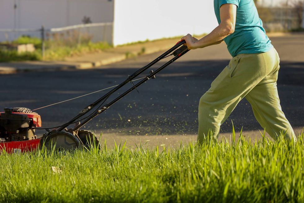 University of Minnesota experts are recommending a slow mow summer ...