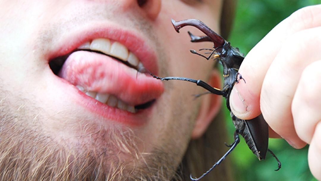 Global consumption of edible insects