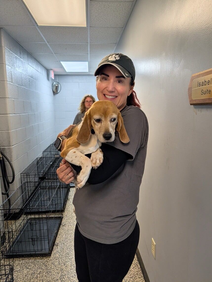 Beagles rescued from Wisconsin research facility arrive in Akron