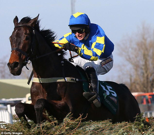 Legendary Grand National horse Auroras Encore, who won world's most ...