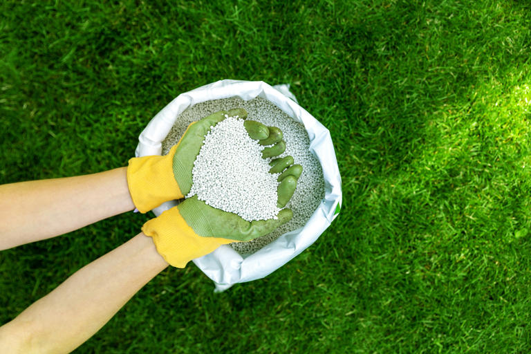 Fertilizer prices surge: Why costs are up and what you can do