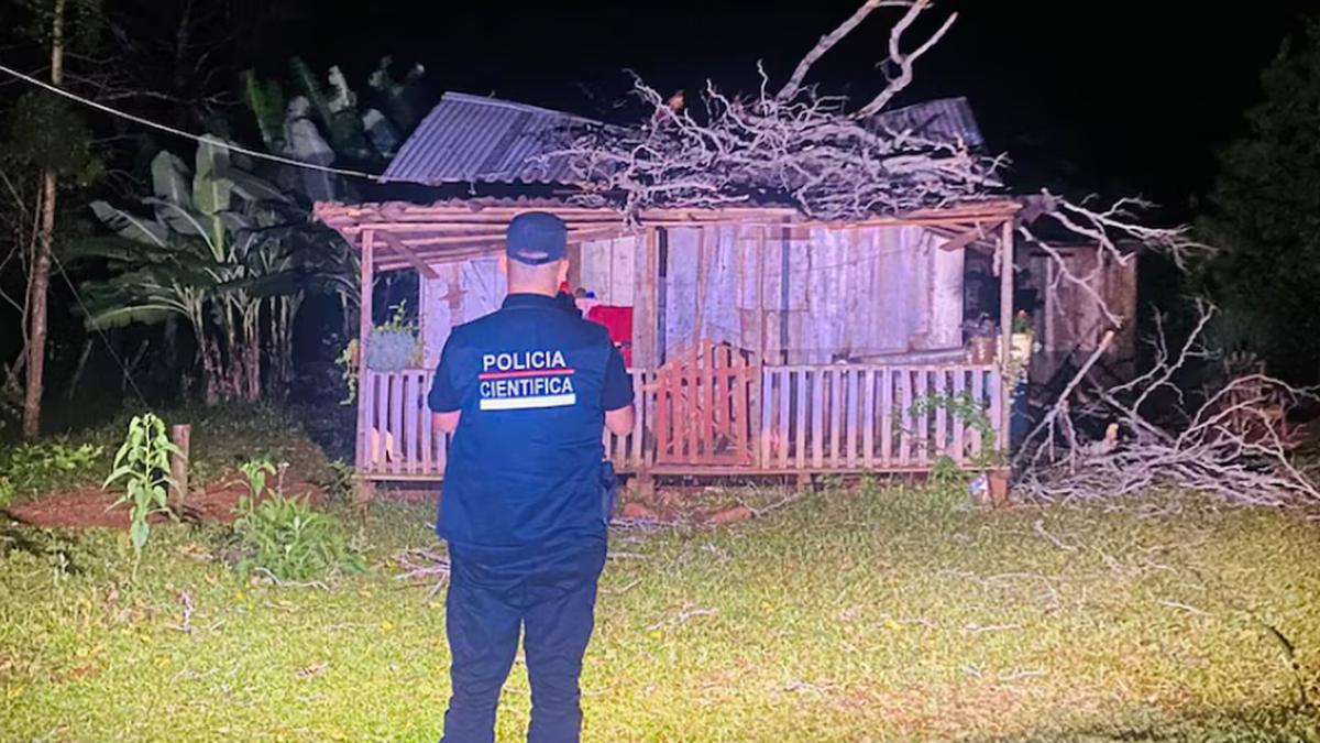 Una rama se desprendió de un árbol, impactó en una bebé y todo terminó ...