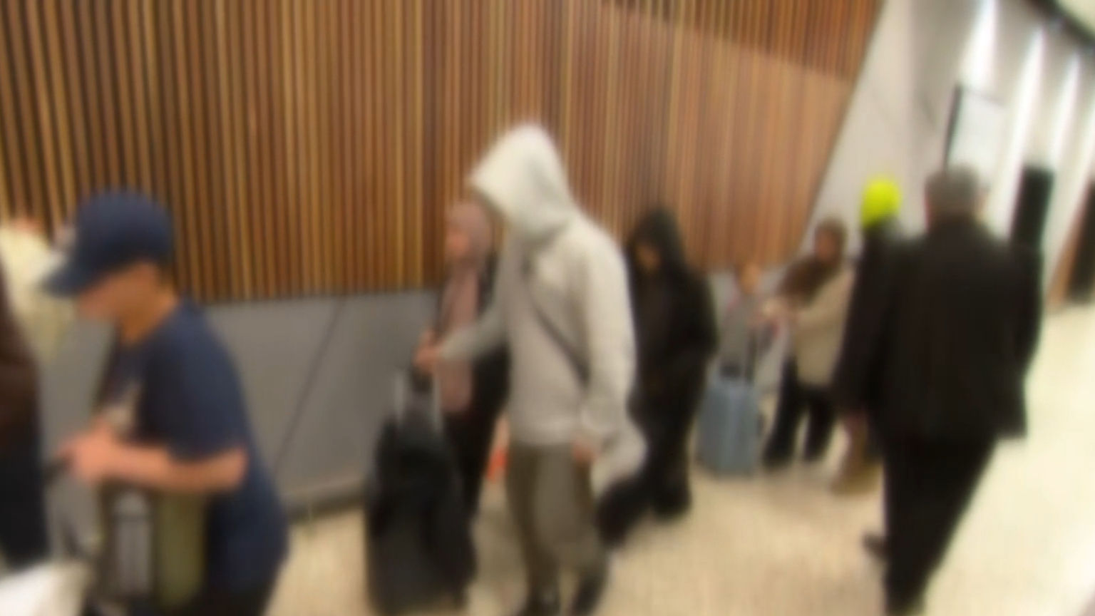 Man who 'helped bring ISIS brides to Australia' arrested on unrelated ...