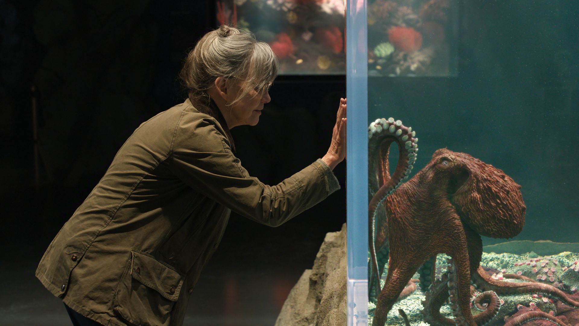 Netflix's Remarkably Bright Creatures Rotten Tomatoes score unveiled