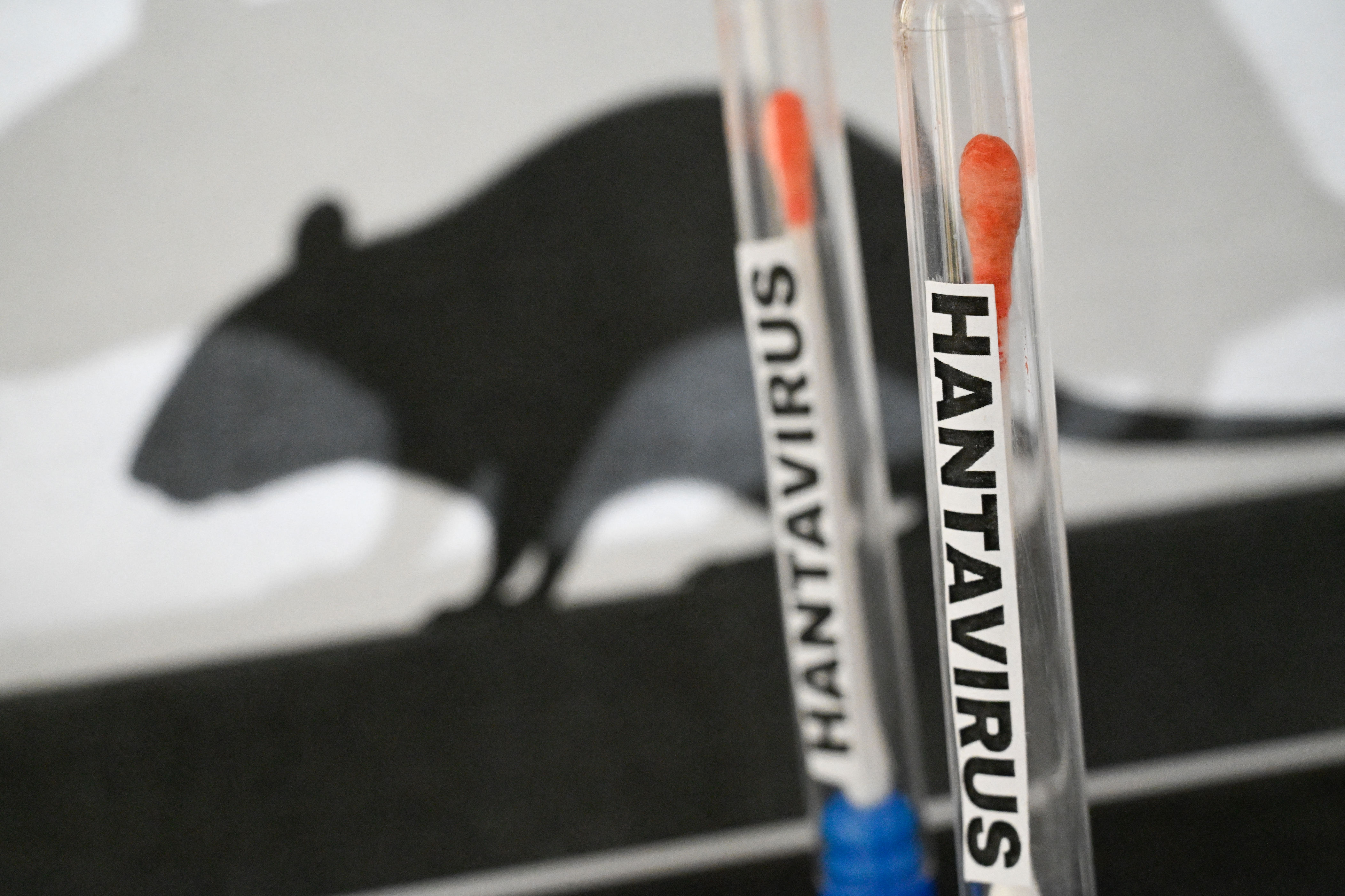 FRANCE-ILLUSTRATION-HANTAVIRUS