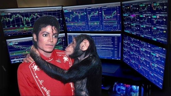 Is Michael Jackson’s chimp, Bubbles, still alive? Where is he now? Know ...