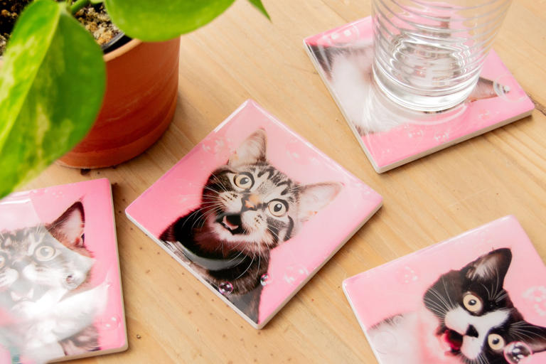 DIY coasters: 50 designs for decor or gifts!