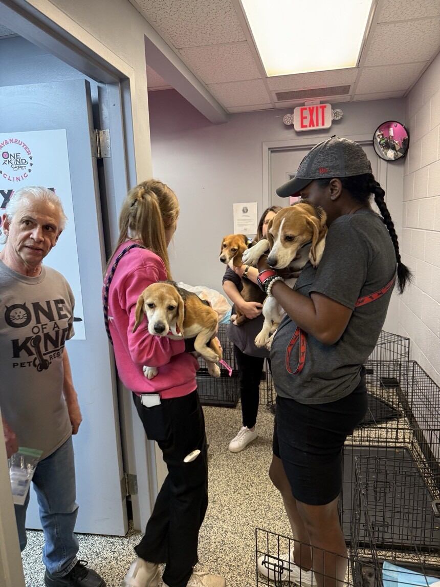 Beagles rescued from Wisconsin research facility arrive in Akron