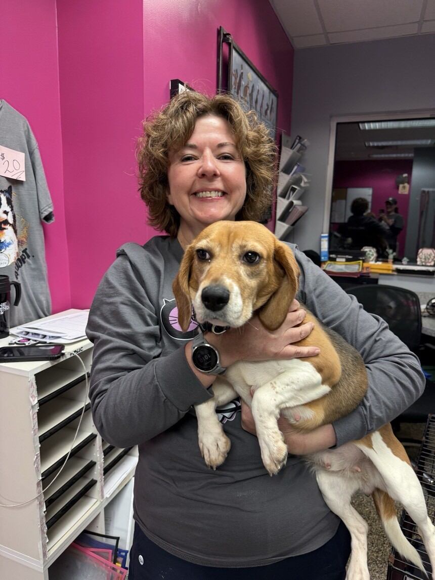 Beagles rescued from Wisconsin research facility arrive in Akron