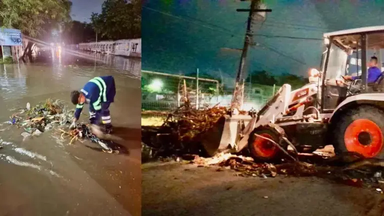 Retiran 30 toneladas de basura de las calles tras intensas lluvias en ...