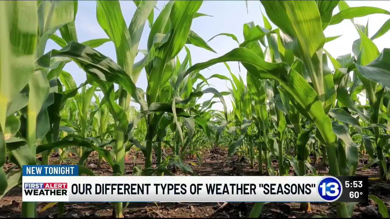 The different types of weather 'seasons' in NW Ohio & SE Michigan