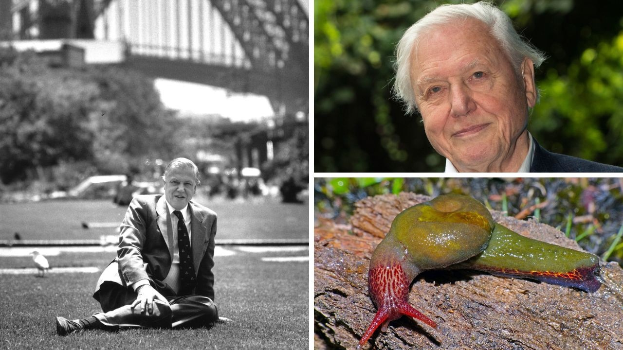 Sir David’s enduring Australian connection