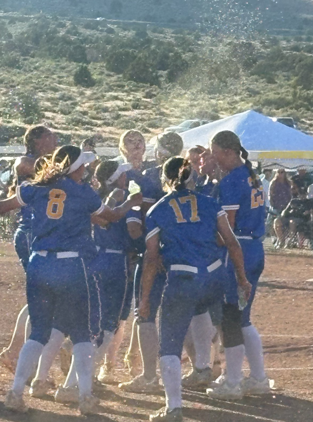 Reed wins two on Friday to earn spot in regional softball championship