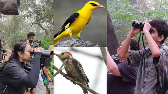 World Migratory Bird Day: Delhi heat can't beat the bird-watching brio ...